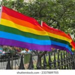 3D往期开奖结果查询与历史数据分析 3r9bts