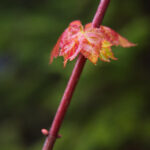 2017赛季中超联赛全程直播精彩对决 643vux