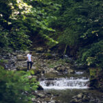 2017赛季中超联赛山东鲁能比赛直播全记录 b04e8d