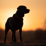 3D星期天开奖吗?最新开奖时间与规则详解 dam9iuqu