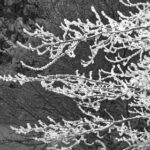 2017赛季揭幕战:林丹赛场英姿直播全记录 dwb4qimy