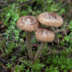 2017赛季中超联赛第六轮精彩对决现场直播 g17cu11q