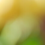 2019年8月17日最新3D开奖结果及开奖期号公布 pc612