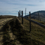 2019篮球世界杯全程高清直播精彩赛事不容错过 s22j7c