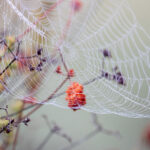 3D彩票历史开奖号码完整数据统计与查询分析 uy13jb