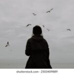 2020年度最热门足球赛事直播全收录 v71w1npn4