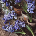 2017赛季中甲联赛官方指定高清直播网站 vr8z432b5