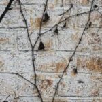 3d排三最新开奖结果查询与历史走势分析 yeltw1